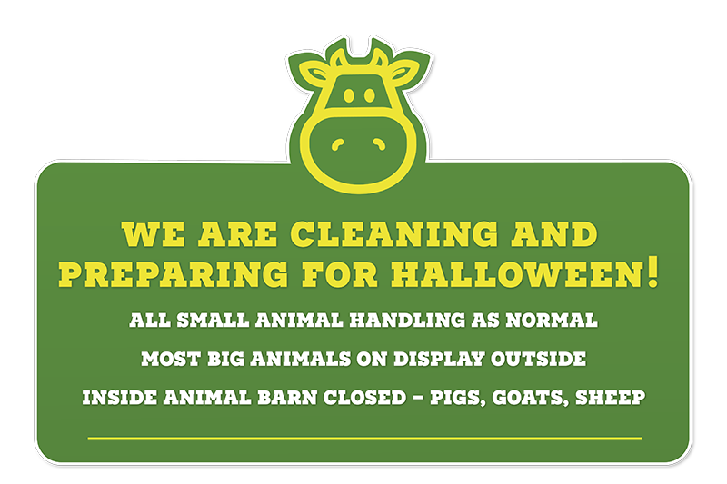 Children's' Indoor and Outdoor Play | Chobham Adventure Farm