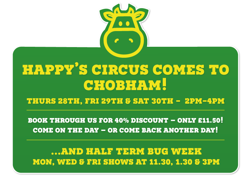 Children's' Indoor and Outdoor Play | Chobham Adventure Farm