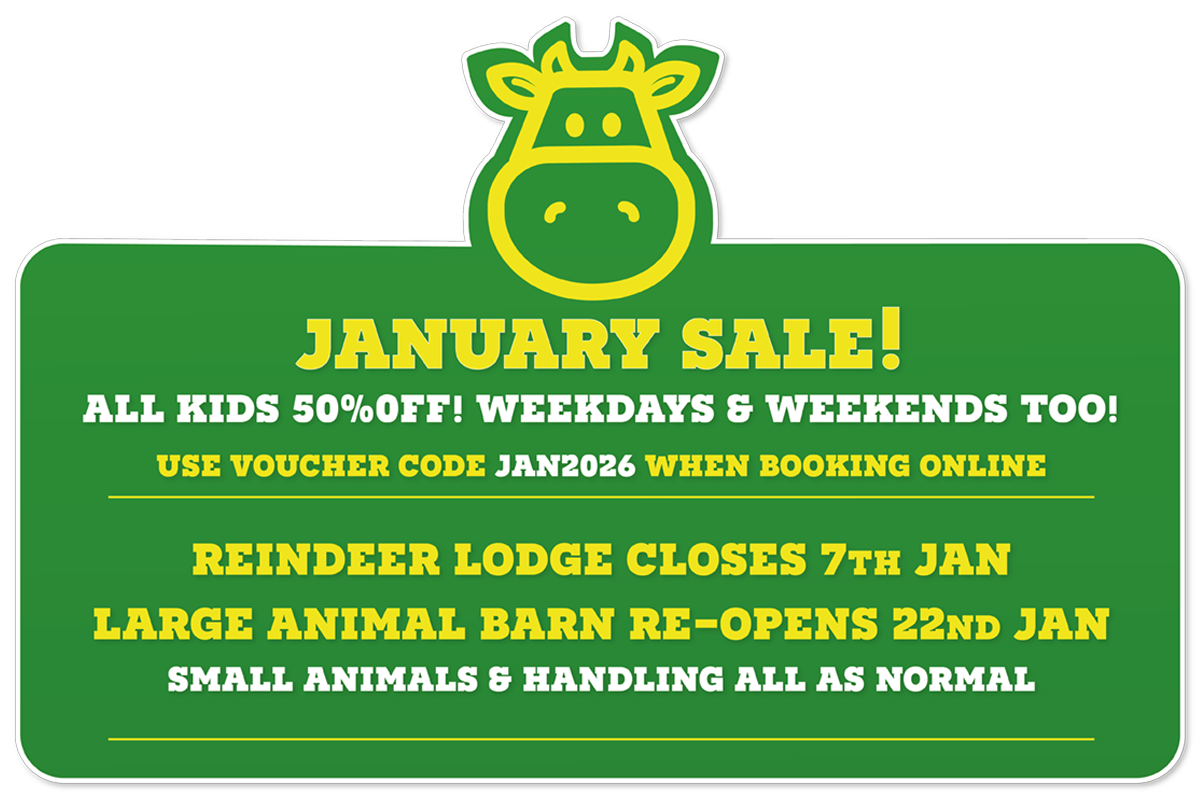 Children's' Indoor and Outdoor Play | Chobham Adventure Farm