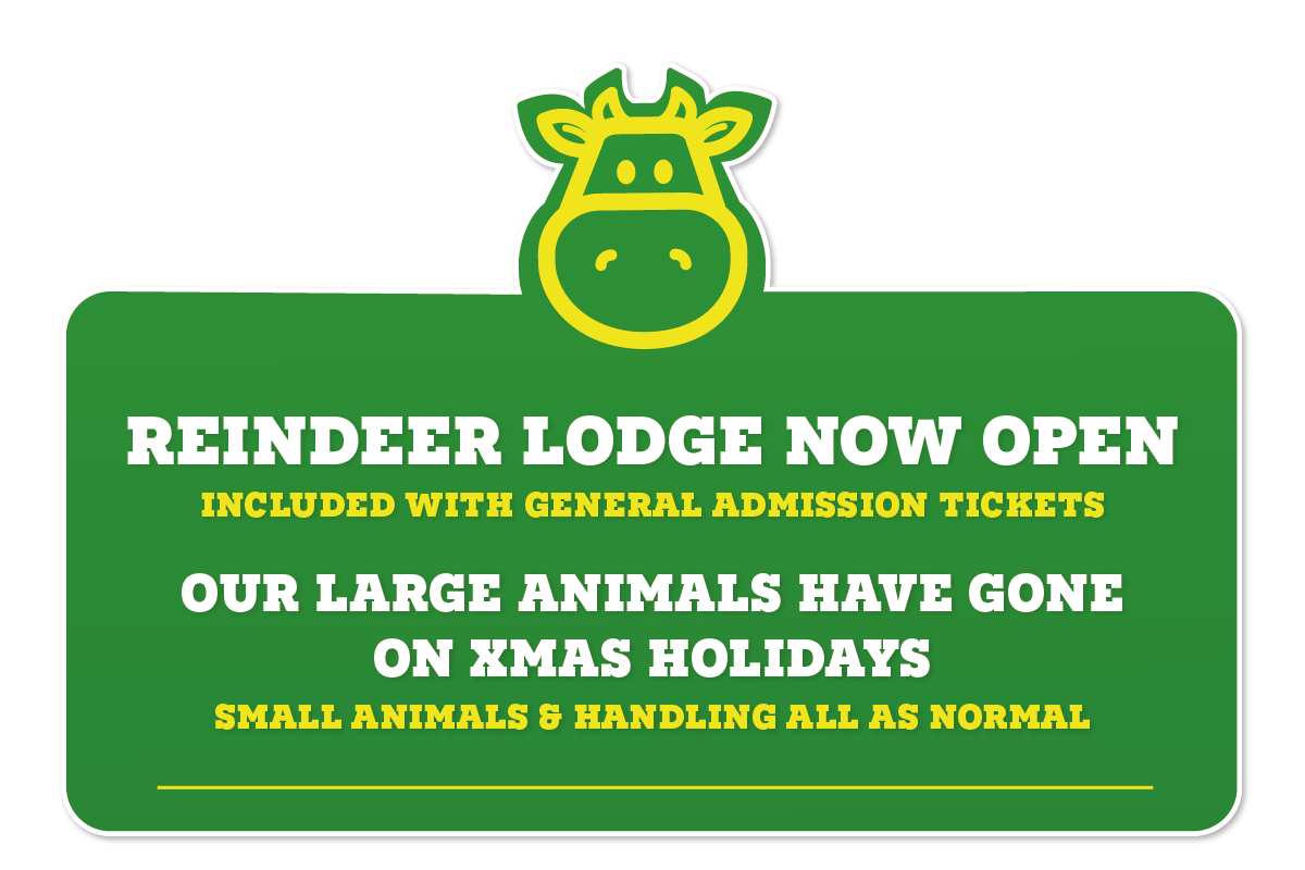 Children's' Indoor and Outdoor Play | Chobham Adventure Farm